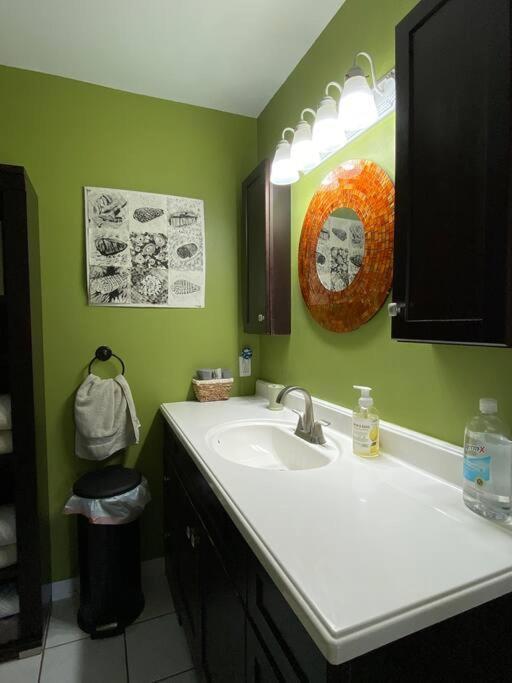 One Bed Suite Near Beaches And Downtown Sarasota Zewnętrze zdjęcie