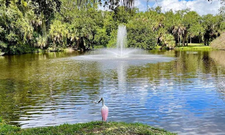 One Bed Suite Near Beaches And Downtown Sarasota Zewnętrze zdjęcie